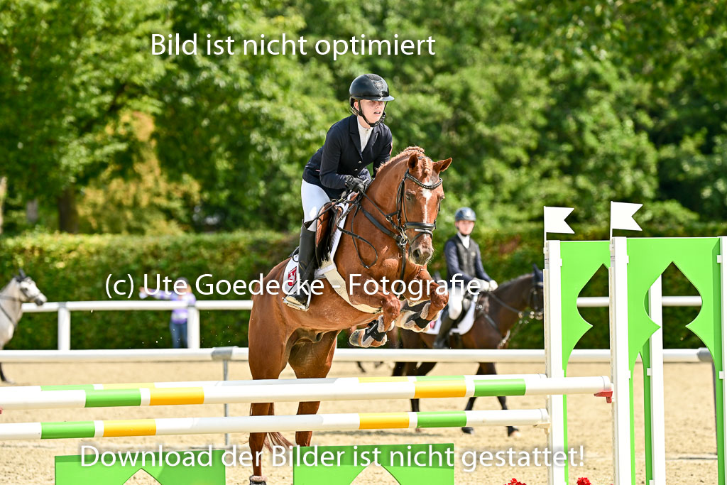 Bundesnachwuchschampionat Vielseitigkeit 2025 | 09082025 Springen Ponys _115 