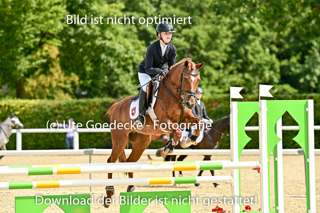 Bundesnachwuchschampionat Vielseitigkeit 2025 | 09082025 Springen Ponys _116 