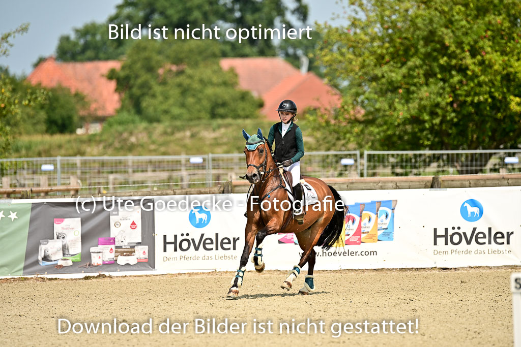 Bundesnachwuchschampionat Vielseitigkeit 2025 | 09082025 Springen Ponys _120 