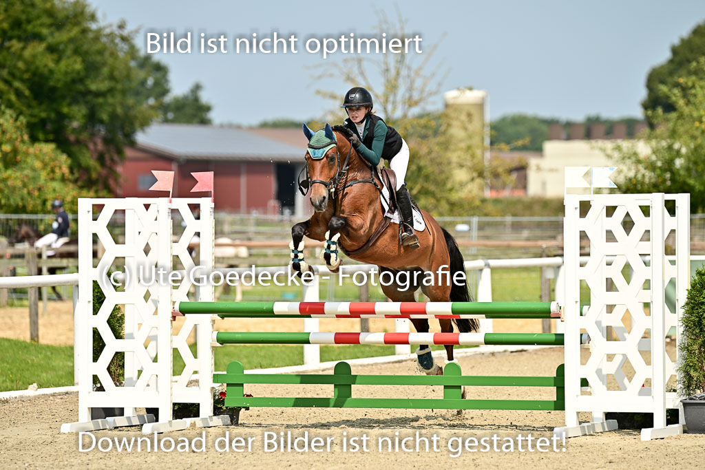 Bundesnachwuchschampionat Vielseitigkeit 2025 | 09082025 Springen Ponys _121 