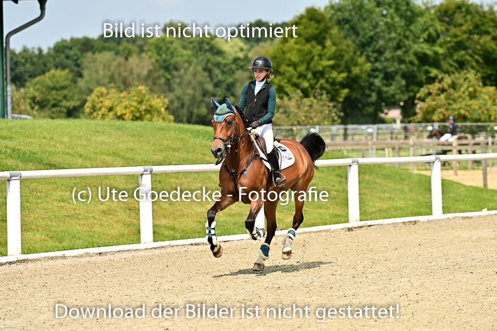 Bundesnachwuchschampionat Vielseitigkeit 2025 | 09082025 Springen Ponys _122 