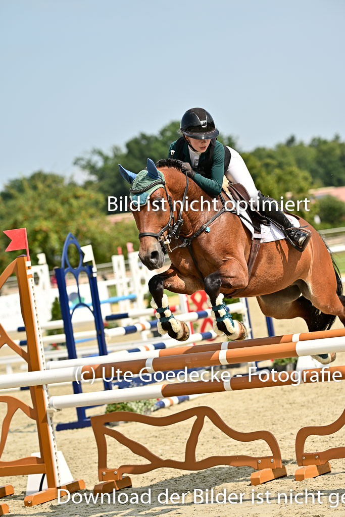 Bundesnachwuchschampionat Vielseitigkeit 2025 | 09082025 Springen Ponys _128 