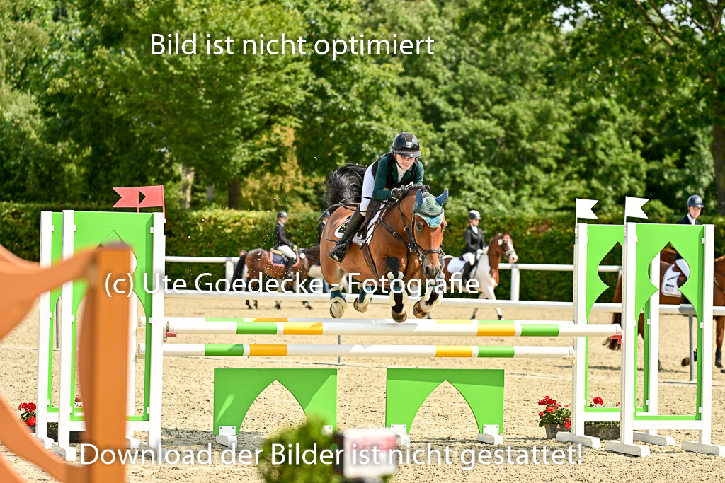 Bundesnachwuchschampionat Vielseitigkeit 2025 | 09082025 Springen Ponys _132 