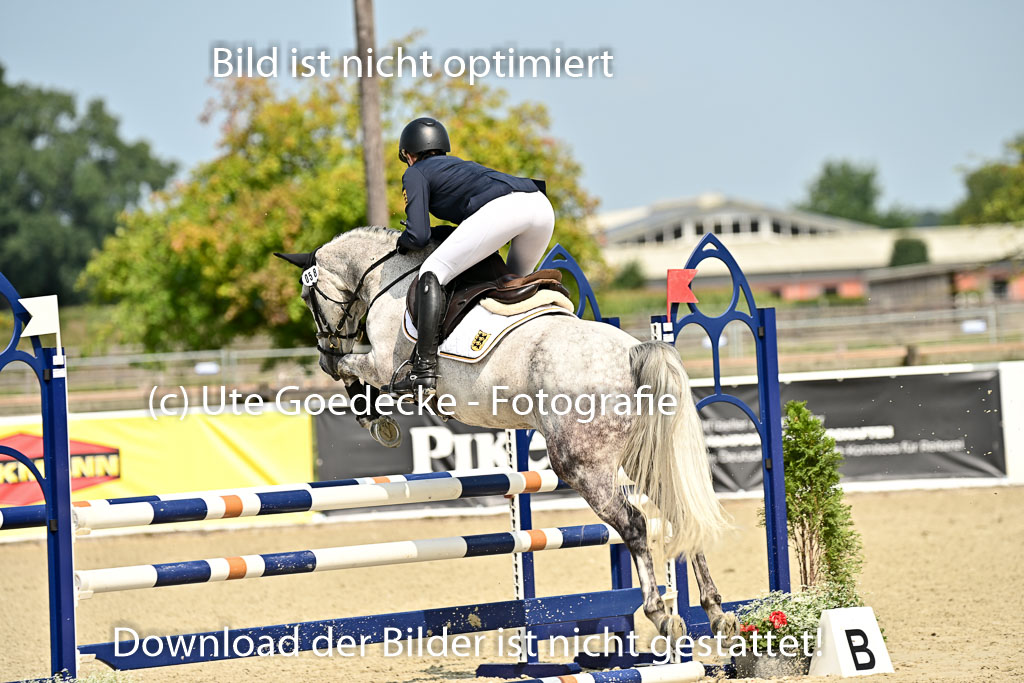 Bundesnachwuchschampionat Vielseitigkeit 2025 | 09082025 Springen Ponys _141 