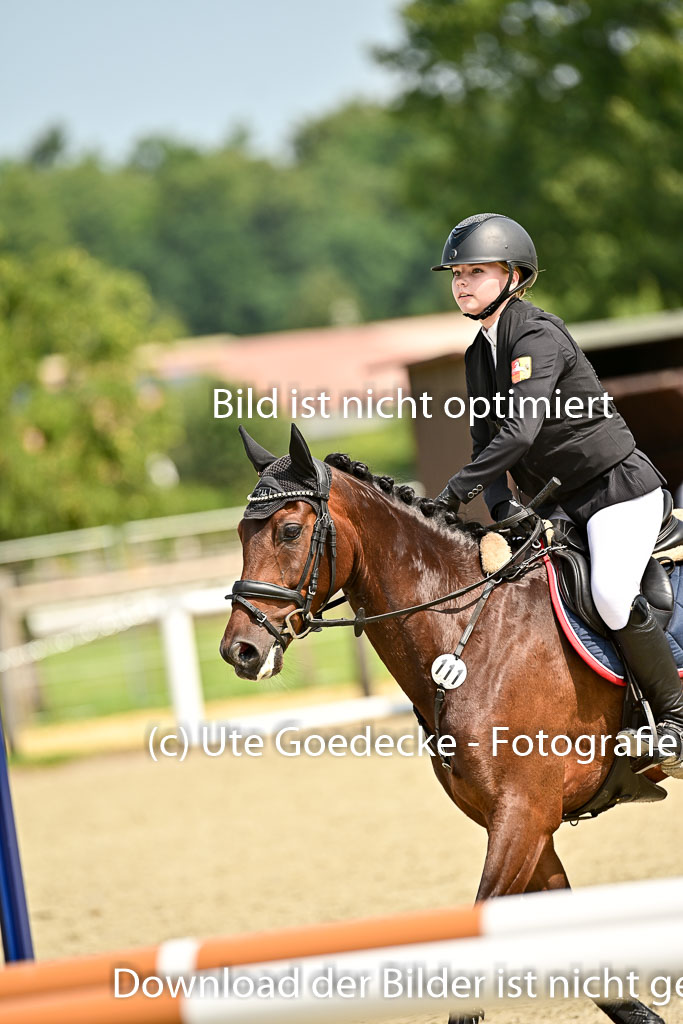 Bundesnachwuchschampionat Vielseitigkeit 2025 | 09082025 Springen Ponys _163 