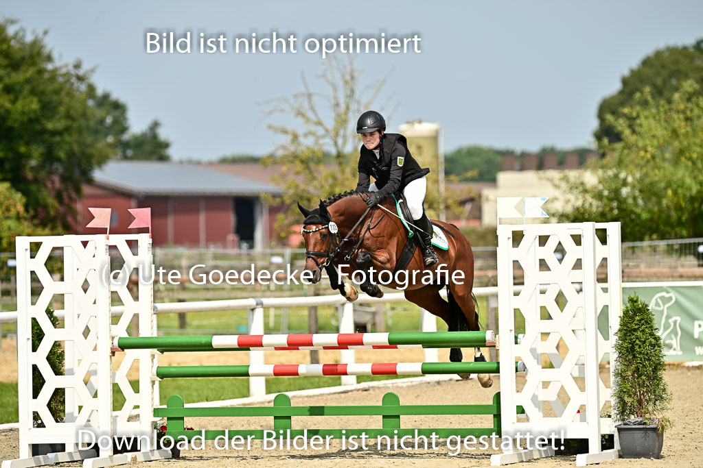 Bundesnachwuchschampionat Vielseitigkeit 2025 | 09082025 Springen Ponys _168 