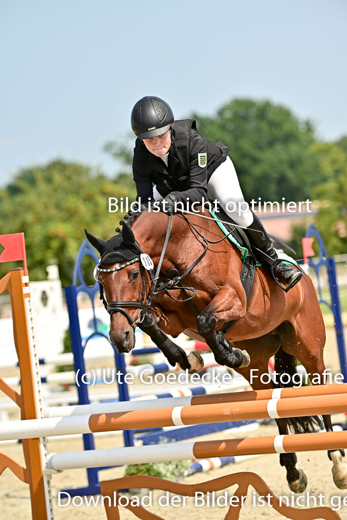 Bundesnachwuchschampionat Vielseitigkeit 2025 | 09082025 Springen Ponys _173 