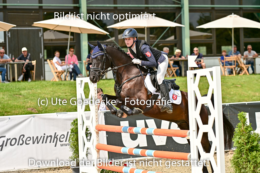Bundesnachwuchschampionat Vielseitigkeit 2025 | 09082025 Springen Ponys _181 