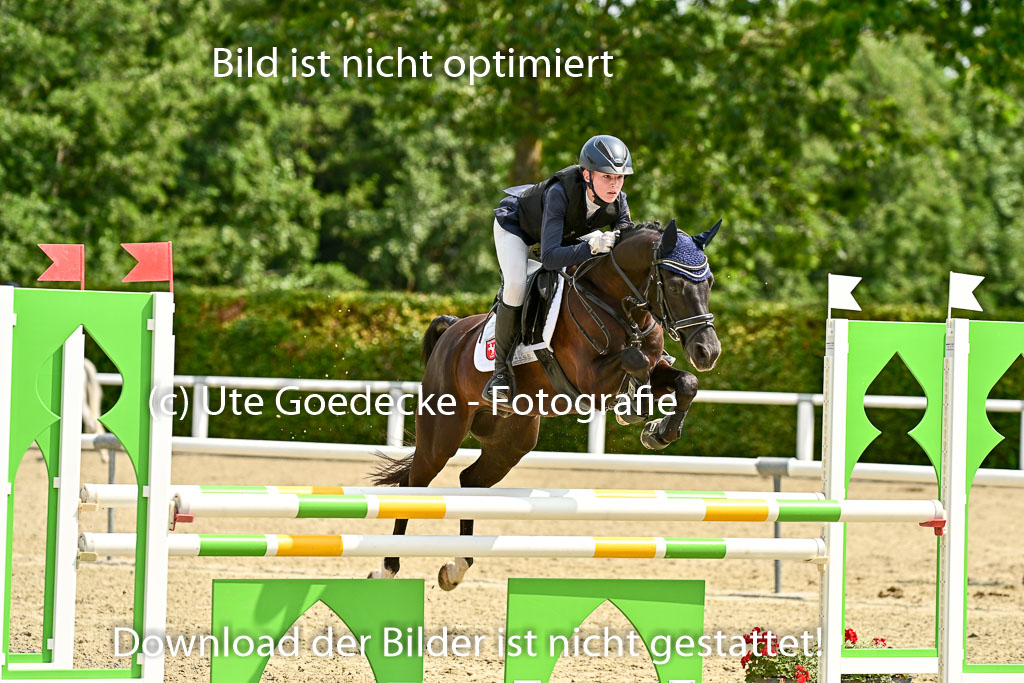Bundesnachwuchschampionat Vielseitigkeit 2025 | 09082025 Springen Ponys _190 