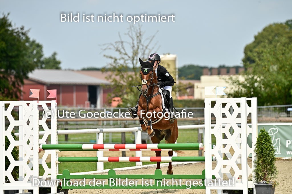 Bundesnachwuchschampionat Vielseitigkeit 2025 | 09082025 Springen Ponys _195 