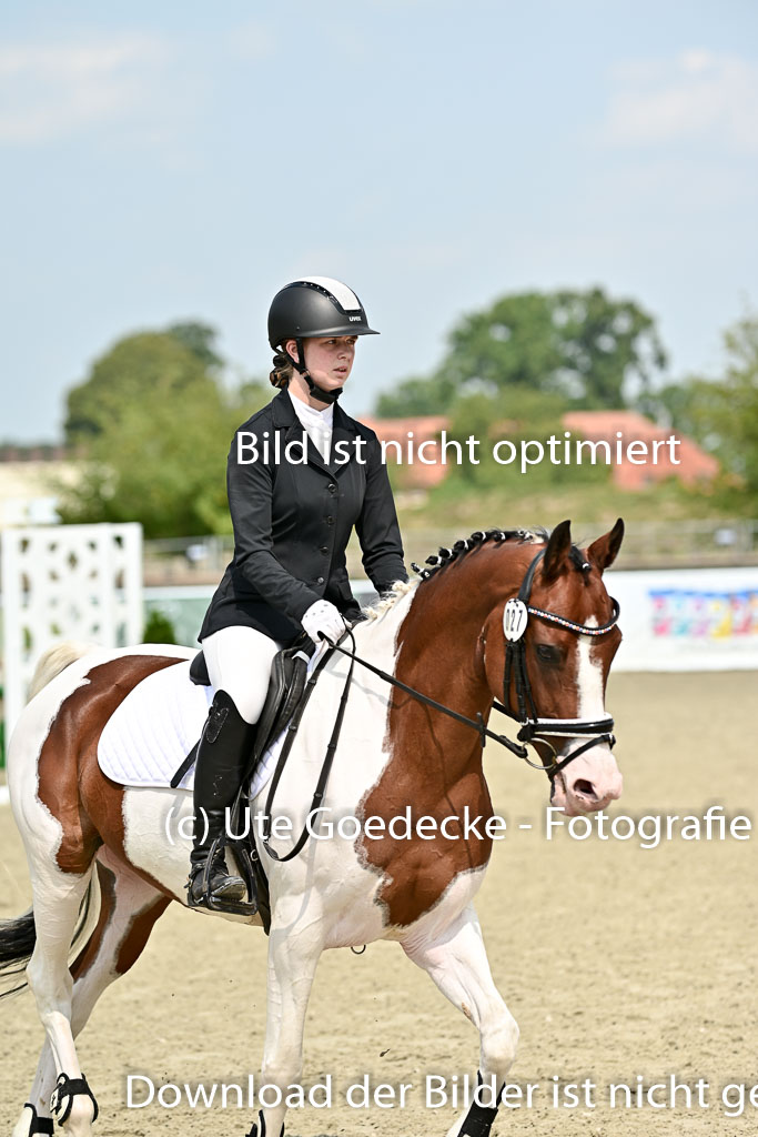 Bundesnachwuchschampionat Vielseitigkeit 2025 | 09082025 Springen Ponys _209 