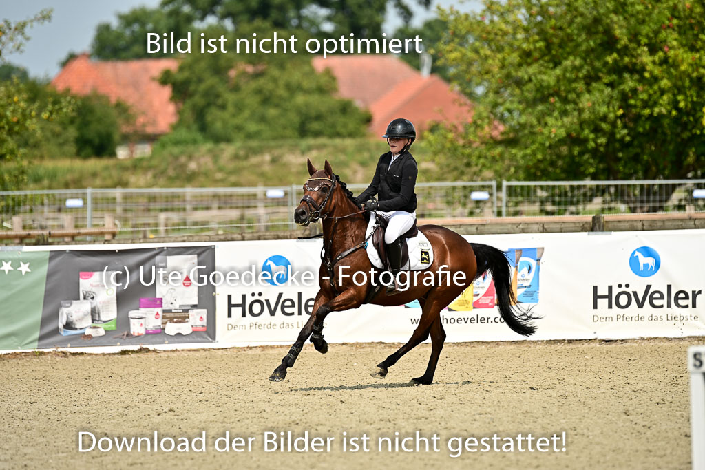 Bundesnachwuchschampionat Vielseitigkeit 2025 | 09082025 Springen Ponys _246 