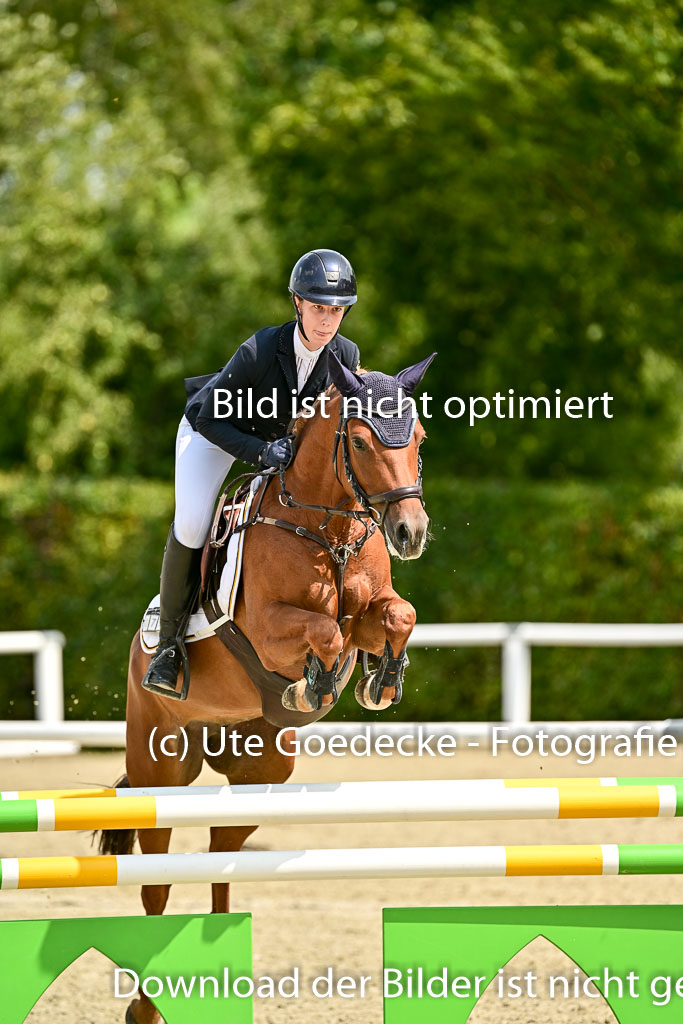 Bundesnachwuchschampionat Vielseitigkeit 2025 | 09082025 Springen Ponys _269 