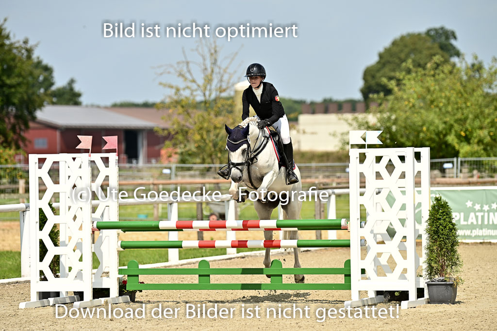 Bundesnachwuchschampionat Vielseitigkeit 2025 | 09082025 Springen Ponys _274 