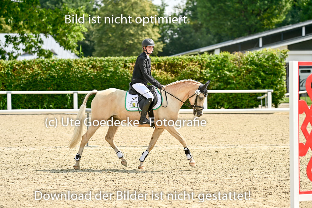 Bundesnachwuchschampionat Vielseitigkeit 2025 | 09082025 Springen Ponys _289 