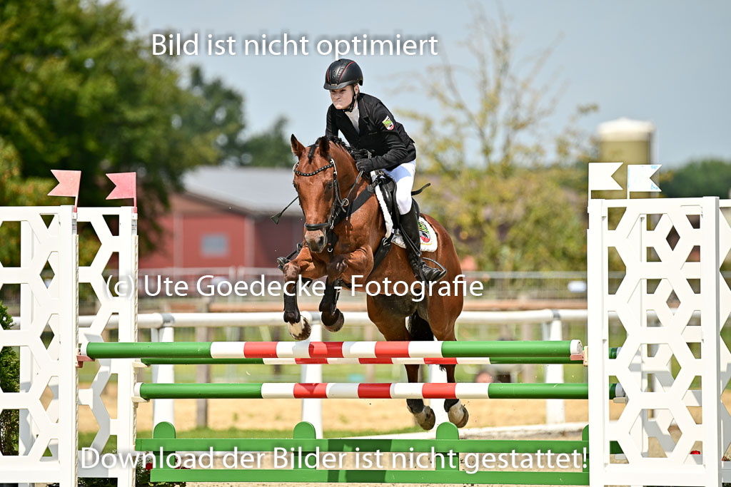 Bundesnachwuchschampionat Vielseitigkeit 2025 | 09082025 Springen Ponys _306 