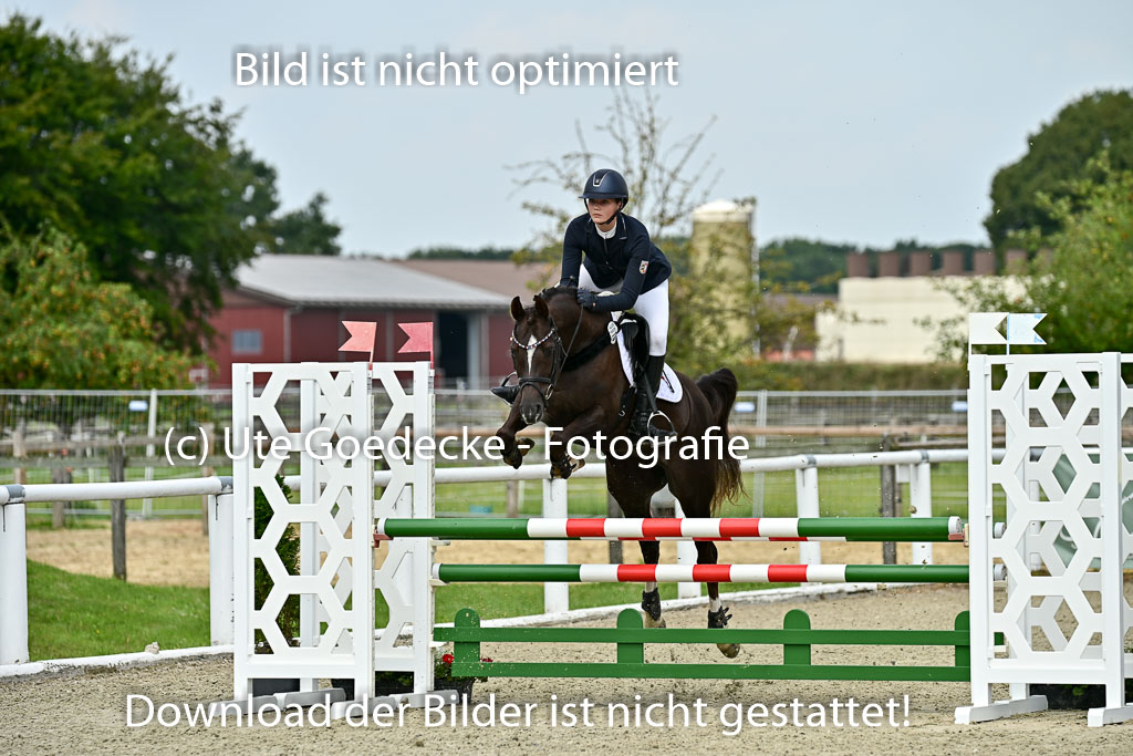 Bundesnachwuchschampionat Vielseitigkeit 2025 | 09082025 Springen Ponys _334 
