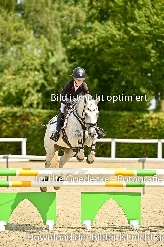 Bundesnachwuchschampionat Vielseitigkeit 2025 | 09082025 Springen Ponys _376 