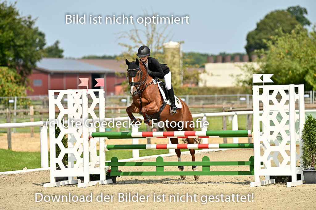 09082025-Springen-Ponys_.jpg