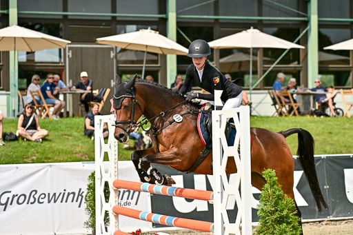 Bundesnachwuchschampionat Vielseitigkeit 2025 | 09082025 Springen Ponys _013 