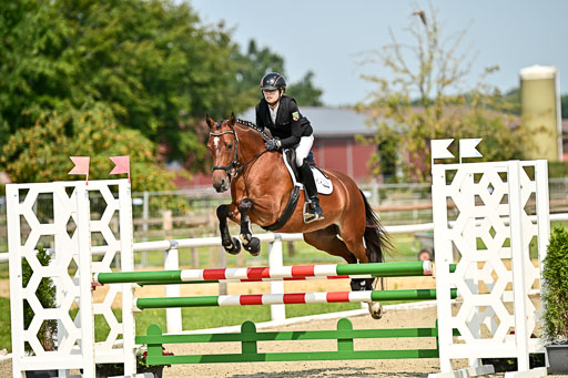 Bundesnachwuchschampionat Vielseitigkeit 2025 | 09082025 Springen Ponys _017 