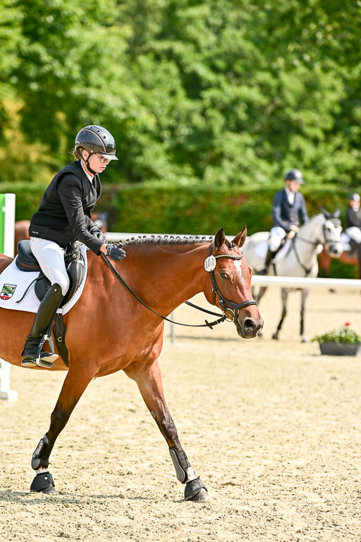 Bundesnachwuchschampionat Vielseitigkeit 2025 | 09082025 Springen Ponys _026 