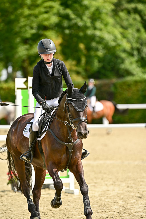 Bundesnachwuchschampionat Vielseitigkeit 2025 | 09082025 Springen Ponys _046 