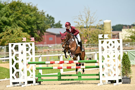 Bundesnachwuchschampionat Vielseitigkeit 2025 | 09082025 Springen Ponys _050 