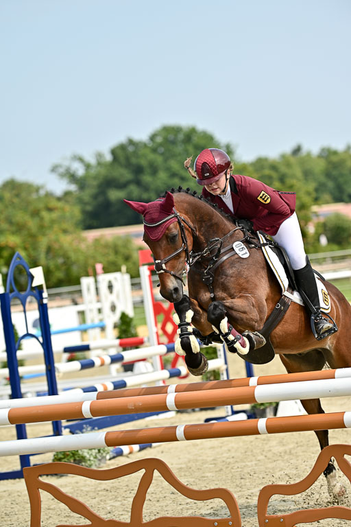 Bundesnachwuchschampionat Vielseitigkeit 2025 | 09082025 Springen Ponys _056 