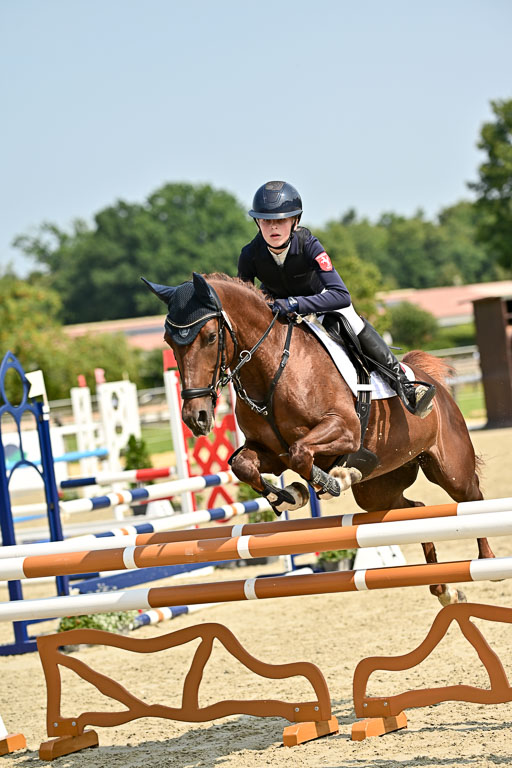 Bundesnachwuchschampionat Vielseitigkeit 2025 | 09082025 Springen Ponys _075 