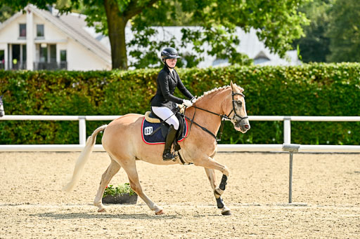 Bundesnachwuchschampionat Vielseitigkeit 2025 | 09082025 Springen Ponys _078 