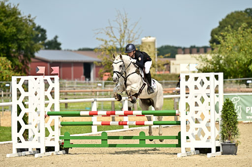 Bundesnachwuchschampionat Vielseitigkeit 2025 | 09082025 Springen Ponys _090 