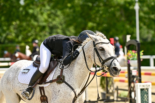 Bundesnachwuchschampionat Vielseitigkeit 2025 | 09082025 Springen Ponys _104 