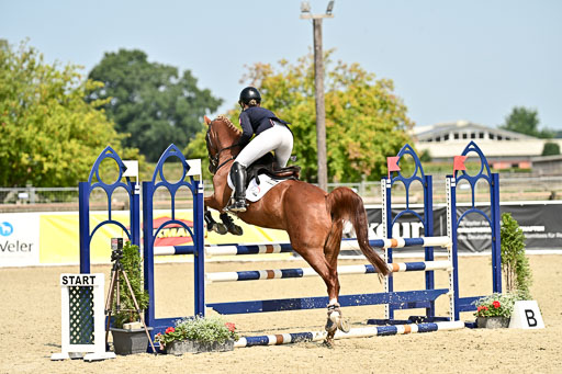 Bundesnachwuchschampionat Vielseitigkeit 2025 | 09082025 Springen Ponys _112 