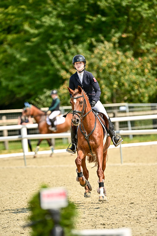 Bundesnachwuchschampionat Vielseitigkeit 2025 | 09082025 Springen Ponys _113 