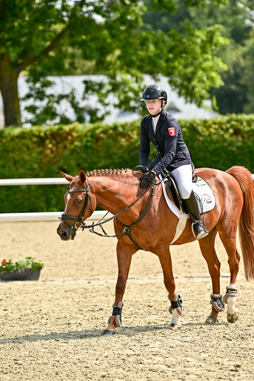 Bundesnachwuchschampionat Vielseitigkeit 2025 | 09082025 Springen Ponys _117 