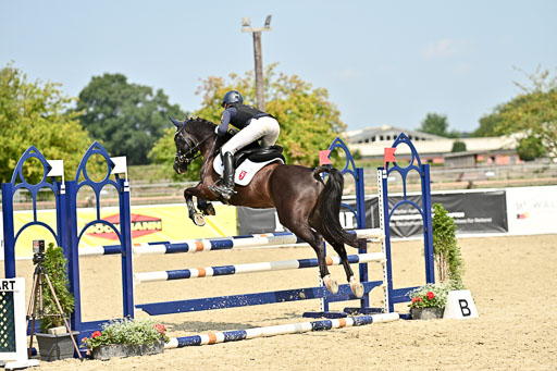 Bundesnachwuchschampionat Vielseitigkeit 2025 | 09082025 Springen Ponys _185 