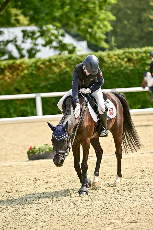 Bundesnachwuchschampionat Vielseitigkeit 2025 | 09082025 Springen Ponys _193 