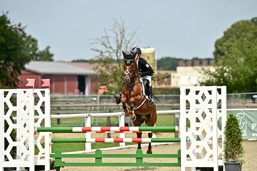 Bundesnachwuchschampionat Vielseitigkeit 2025 | 09082025 Springen Ponys _195 