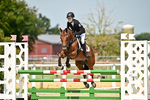 Bundesnachwuchschampionat Vielseitigkeit 2025 | 09082025 Springen Ponys _306 