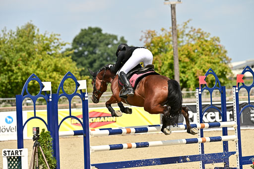 Bundesnachwuchschampionat Vielseitigkeit 2025 | 09082025 Springen Ponys _322 