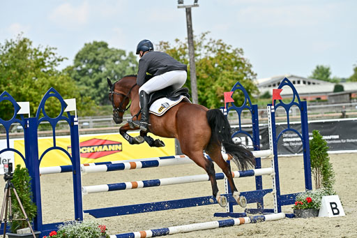 Bundesnachwuchschampionat Vielseitigkeit 2025 | 09082025 Springen Ponys _385 