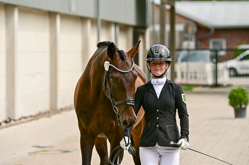 DSC_0667.jpg