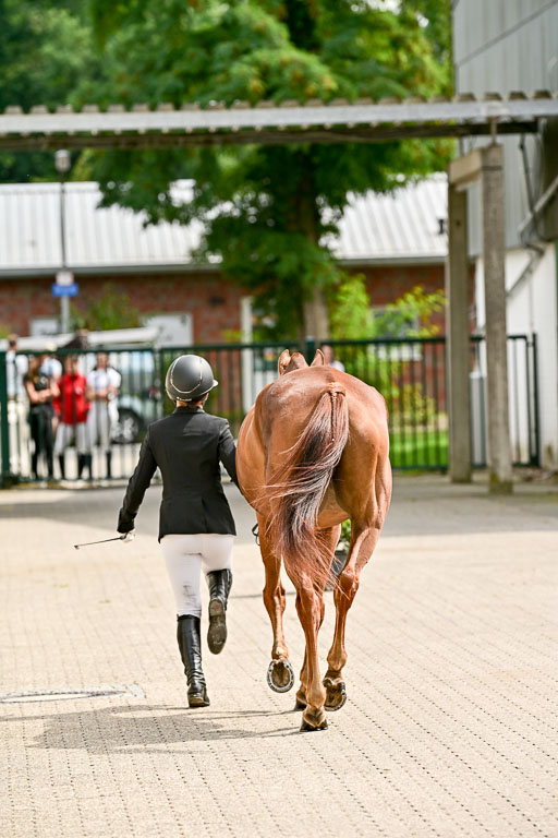  | DSC_9064 