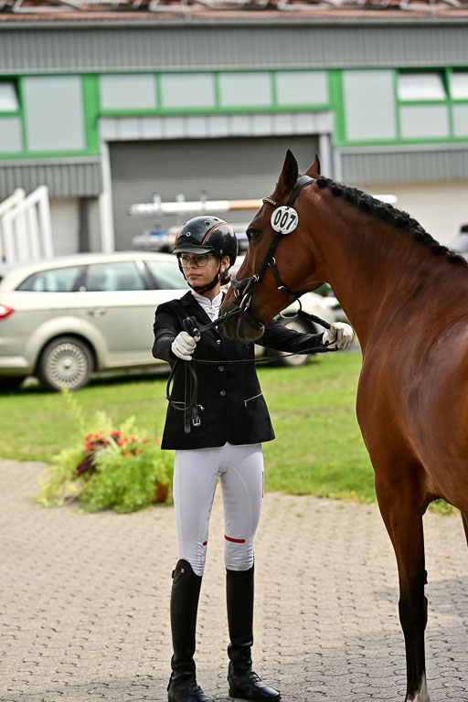 Bundesnachwuchschampionat Vielseitigkeit 2025 | 08082025 Vormustern Ponys_049 