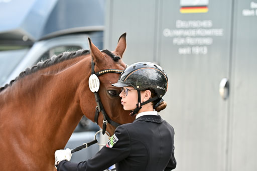 Vormustern Ponys