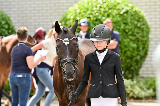 Bundesnachwuchschampionat Vielseitigkeit 2025 | 08082025 Vormustern Ponys_071 