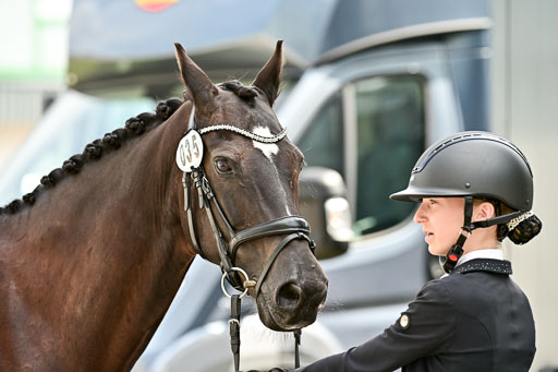 Bundesnachwuchschampionat Vielseitigkeit 2025 | 08082025 Vormustern Ponys_081 
