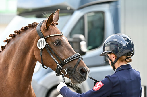 Bundesnachwuchschampionat Vielseitigkeit 2025 | 08082025 Vormustern Ponys_112 