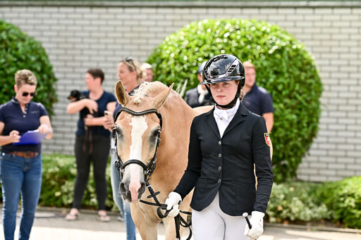 Bundesnachwuchschampionat Vielseitigkeit 2025 | 08082025 Vormustern Ponys_114 